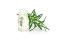 Rosemary essential oil in glass and fresh rosemary twig isolated Royalty Free Stock Photo