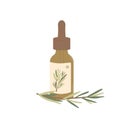 Rosemary essential oil isolated on white background. Bottle with fresh herb branch green leaves. Vector simple hand drawn Royalty Free Stock Photo