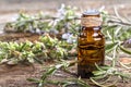 Rosemary essential oil Royalty Free Stock Photo