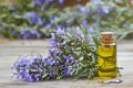 Rosemary essential oil