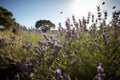 Rosemary fields in full dance under the sun., generative IA