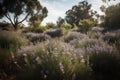 Rosemary fields in full dance under the sun., generative IA