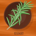 Rosemary flat design vector icon.