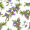 Rosemary flowers seamless texture