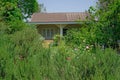 Rosemary fragrant herb is edible woody perennial plant in traditional English cottage backyard planting sensory garden Royalty Free Stock Photo