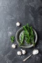 Rosemary, garlic, salt and white pepper, culinary background with various spices, directly above, flat lay Royalty Free Stock Photo