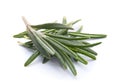 Rosemary herb Royalty Free Stock Photo