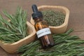 Rosemary herb and aromatherapy essential oil