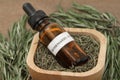 Rosemary herb and aromatherapy essential oil dropper bottle Royalty Free Stock Photo