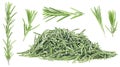 Rosemary herb collection - pile of rosemary leaves and branches isolated on white background