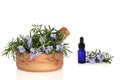 Rosemary Herb and Essence