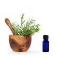 Rosemary Herb Essential Oil