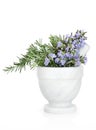 Rosemary Herb Flowers Royalty Free Stock Photo