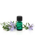 Rosemary Herb Flowers and Essence Royalty Free Stock Photo