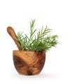 Rosemary Herb Leaves Royalty Free Stock Photo