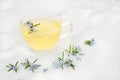 Rosemary Herb Tea for Digestion Problems