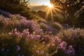 Rosemary hills in golden mist, bees among lilac flowers., generative IA