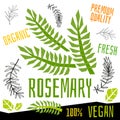 Rosemary icon label fresh organic vegetable, vegetables nuts herbs spice condiment color graphic design vegan food.