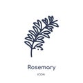 Rosemary icon from nature outline collection. Thin line rosemary icon isolated on white background