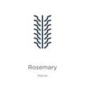 Rosemary icon vector. Trendy flat rosemary icon from nature collection isolated on white background. Vector illustration can be