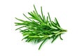 Rosemary isolated