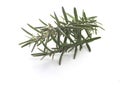 Rosemary isolated on white Royalty Free Stock Photo