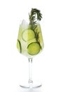 Rosemary Jin Tonic Cocktail with Cucumber and Ice Isolated Royalty Free Stock Photo