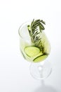 Rosemary Jin Tonic Cocktail with Cucumber Royalty Free Stock Photo