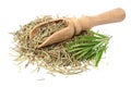 rosemary leaves with dried rosemary isolated on white background Royalty Free Stock Photo