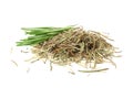 rosemary leaves with dried rosemary isolated on white background Royalty Free Stock Photo