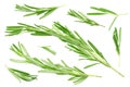 rosemary leaves isolated on white background. top view Royalty Free Stock Photo