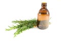 Rosemary oil