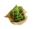 Rosemary Plant in Pot and Paper Bag Isolated Royalty Free Stock Photo