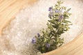 Rosemary salt. aroma bath Royalty Free Stock Photo