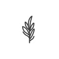 Rosemary spice line icon