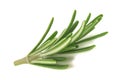 Rosemary sprig