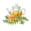 Rosemary tea in teapot illustration Royalty Free Stock Photo