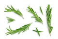 Rosemary twig and leaves isolated on white background. Top view. Flat lay Royalty Free Stock Photo