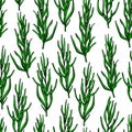 Rosemary vector drawing seamless pattern. Isolated plant with le