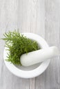 Rosemary in a white granite pestle and mortar. Royalty Free Stock Photo