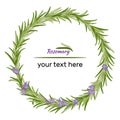 Wreath of rosemary branches. Vector illustration of herbs.