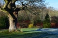 Rosemoor RHS Garden, Great Torrington, Devon Royalty Free Stock Photo