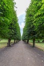 Rosenborg Castle Path Royalty Free Stock Photo