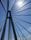 Rose bridge across the river Danube