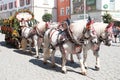 Rosenheim costume parade horse and cart