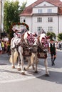 Rosenheim, Germany, 09/04/2016: Harvest festival parade in Rosenheim