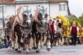 Rosenheimer Herbstfest