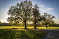 Rosenthal forest park in Leipzig city, Saxony, Germany Royalty Free Stock Photo