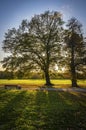 Rosenthal forest park in Leipzig city, Saxony, Germany Royalty Free Stock Photo