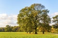 Rosenthal forest park in Leipzig city, Saxony, Germany Royalty Free Stock Photo